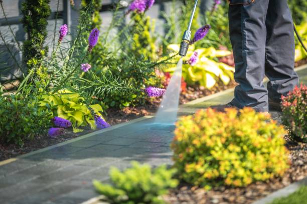 Professional Pressure Washing Services in Orosi, CA