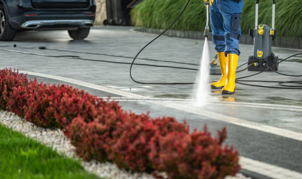 Animal Enclosure Cleaning in Orosi, CA